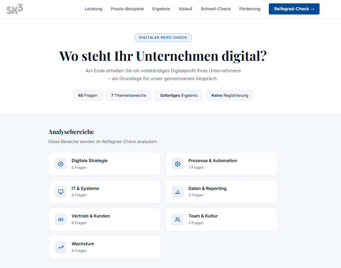 Analysebereiche des SK³ Digitalaudits mit 7 Themenbereichen