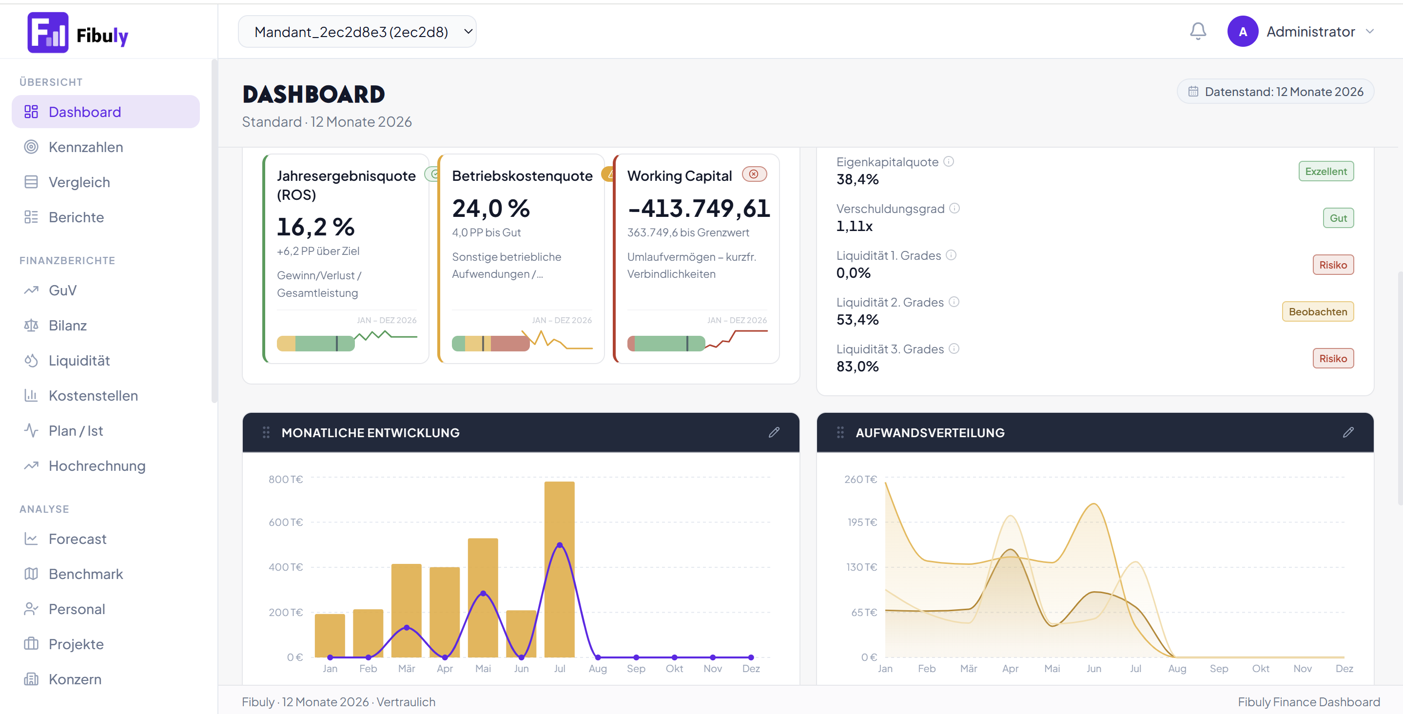Fibuly Dashboard-Ansicht